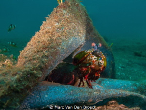 my bluehouse by Marc Van Den Broeck 